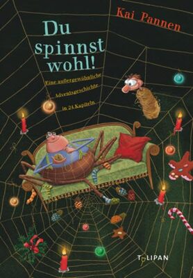 Alle Details zum Kinderbuch Du spinnst wohl!: Eine außergewöhnliche Adventsgeschichte in 24 Kapiteln (Vorlesebuch) und ähnlichen Büchern